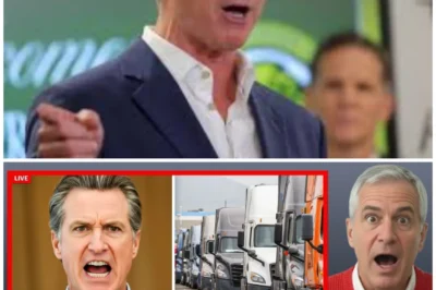 Seventy Thousand Owner-Operators Didn’t “Change Careers”—They’re Reportedly Being Pushed to a Line They Can’t Cross, as Carriers Quietly Signal Retreat, Loads Disappear, and California’s Image Machine Tries to Sell Calm While the Supply Chain Starts Acting… Strange: the shock isn’t the crackdown narrative, it’s the possibility that the chaos is being managed, framed, and timed to look like a market hiccup, not a power shift—“This isn’t about trucking anymore” 🔥