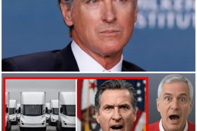The Governor’s Climate Victory Lap Looked Final—Until a Legal storm and a sudden withdrawal flipped the narrative, raising a sharper question: was the mandate ever meant to survive, or was it meant to scare the market into “voluntary” compliance? Fleets reportedly froze purchases, scrambled to avoid retroactive risk, and watched policy become psychology—uncertainty as enforcement without the paperwork.The twist is brutal: the loudest moral framing may have masked a quieter power play—”This wasn’t regulation, it was leverage.” ⚠️