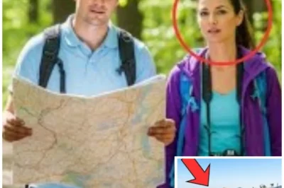 They Entered Appalachian Backcountry Together — One Returned, the Mountains Told a Different Story.