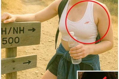 She Vanished in a National Park — 4 Years Later, Rangers Make a Horrifying Discovery Inside a Tree…