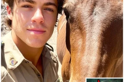 A Young Ranger Vanished In Yosemite — Four Years Later They Found The Remains Of His Horse