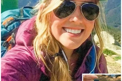 Solo Thru-Hiker Vanished in Colorado, Years Later an SD Card Is Found Hidden in Her Shoe…