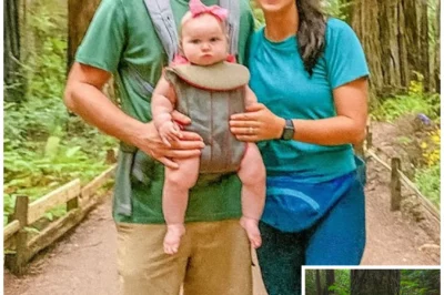 They Vanished in Redwoods, 4 Years Later Hikers Find a Strange Fungus Infestation at Tree…