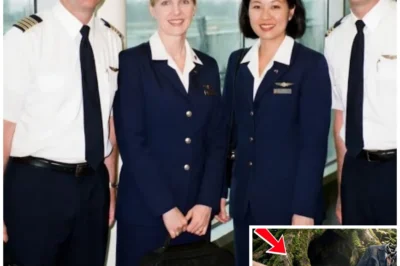 Four Airline Crew Vanished After a Routine Flight in 2001 — 24 Years Later a Tree Cave Revealed Why