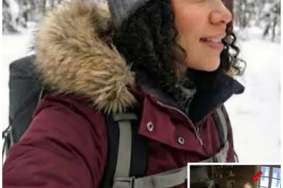 “Tourist Disappears in Alaska: 4 Years Later, Her Final Days Revealed”