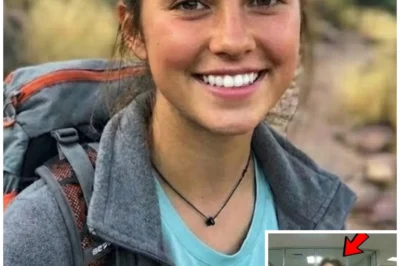 The 7-Year Mystery of Kelly Brooks – Found Alive After Disappearing in Yellowstone National Park!