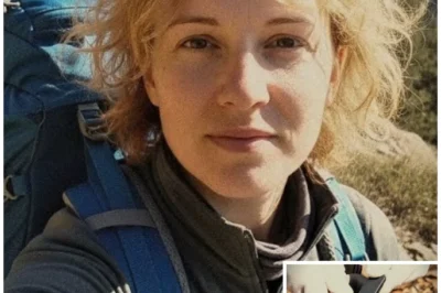 The Final Message of the Woman Who Vanished in the Mountains: A USB Drive in Her Shoe