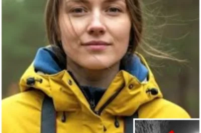 An Experience Photographer Disappeared on In Colorado mountains… What They Found Is Unbelievable