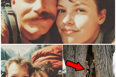 Tourist Couple Vanished in Joshua Park :7 Years Later Their Bodies Found Inside Tree…