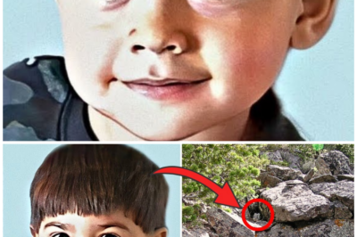 Boy Vanished on a Hiking Trip, 4 Years Later What Was Found Still Shocks Investigators to This Day…