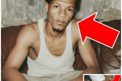 College Couch Smelled Bad 15 Years— Replacement Team Found Student Who Vanished in 2008 Inside