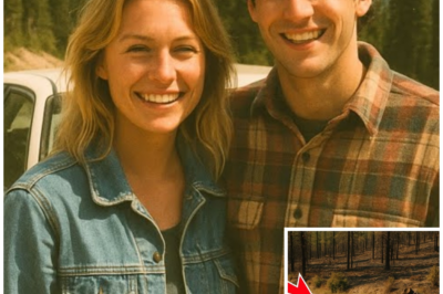 They Went Hiking and Never Came Back — 36 Years Later, the Mountain Finally Gave Them Up