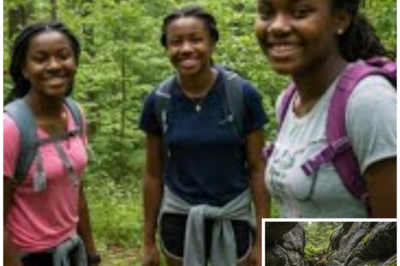 College Girls Vanished in Smokies, 4 Years Later Hikers finds This Wedged in Crevice….