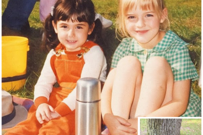 Sisters Vanished on Family Picnic, 11 Years Later Treasure Hunter Spots a Pattern Near Oak…