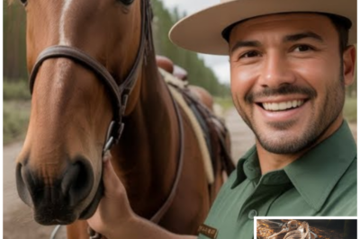 Ranger Vanished in the Colorado Backcountry — 7 Years Later They Find What Was Left of His Horse…