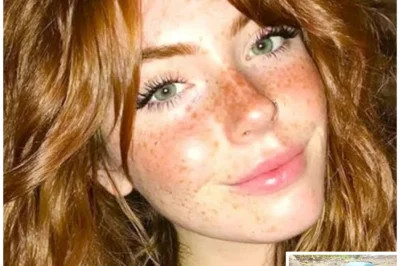 Young Woman Vanished In Yosemite—tourists Found Shoes And Camera With Photos