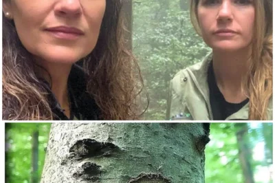 He Just Went Into The Forest.Two Years Later — A Terrifying Discovery Under An Oak