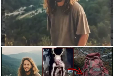 Tourist Vanished in Appalachians — Backpack Found Slashed, Bones of Small Animals Around