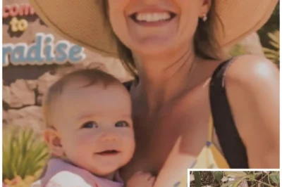 Single Mom Vanished in Everglades, 1 Year Later a Python Is Found With a Strange Bulge…