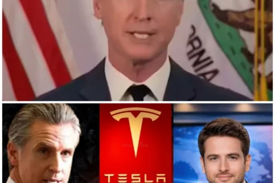 “California Governor’s Jaw Drops in Shock 😱 as Tesla Abruptly Shuts Down Major Factory in a Move That Could Devastate the State’s Economy! 🚨 ‘It’s just a temporary pause,’ they claim, but insiders reveal a hidden crisis that could wipe out thousands of jobs and leave California reeling in chaos! 💥 Is this the beginning of the end for California’s automotive future? Discover the shocking truth behind this catastrophic shutdown! 👇”