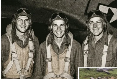 He Vanished in the Ozarks for 7 Years — When He Returned, His Parents Said He Wasn’t Their Son