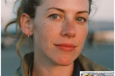 Pilot Vanished Over Pacific in 2010 — 15 Years Later, Black Box Found on Remote Island