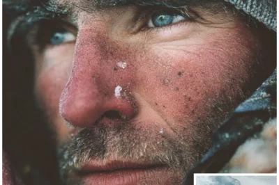 Explorer Vanished in Arctic in 2000 — 20 Years Later, Sled Found Frozen in Ice Sheet