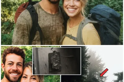 Couple Vanished In Oregon – 6 Years Later THIS Was Found Inside An Abandoned Tree Cabin..