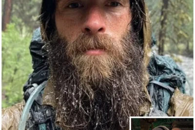 Tourist vanished in Oregon forests — a year later his parts found in SAWMILL SHREDDER