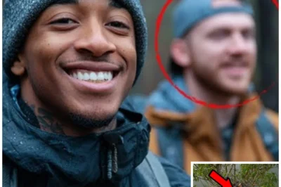 Tourist Vanished in North Carolina — His Remains Found in Heron Nest 40 Feet High..