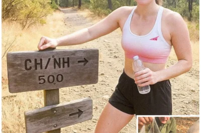 Woman Vanished on Morning Jog in Napa, 2 Years Later Truffle Hunter’s Pig Unearths This…