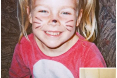 Girl Vanished From Driveway, 2 Years Later a Public Restroom Gives a Disturbing Clue…