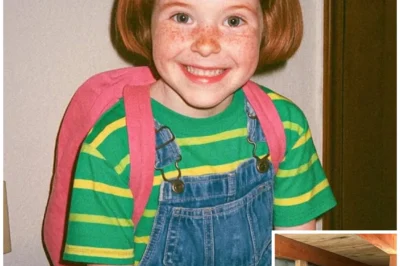 Girl Vanished Walking to School, 8 Years Later Electricians Find This in a Crawlspace…