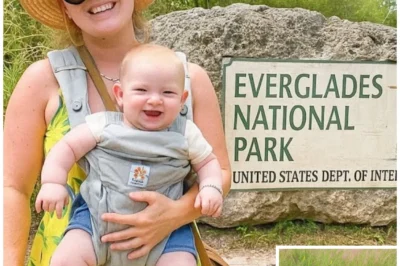 Single Mom Vanished in Everglades, 1 Year Later a Python Is Found With a Strange Bulge…