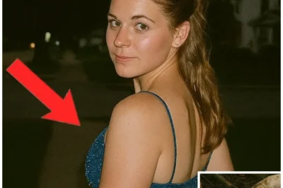 Teen Girl Vanished After Prom Night in 2002 — 15 Years Later Hikers Make a Horrifying Discovery…