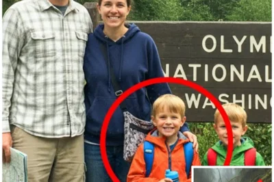 Family Vanished While Camping in National Park — 4 Years Later Rangers Made a Horrifying Discovery