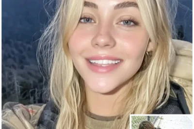 Found Living As A HOMELESS WOMAN 8 Years After Vanishing In Great Smoky Mountains…