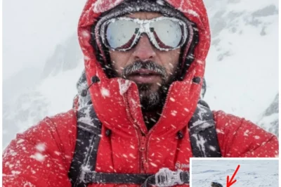 Climber Vanished In Denali – 4 Months Later was Seen Buried Upside down in Snow…