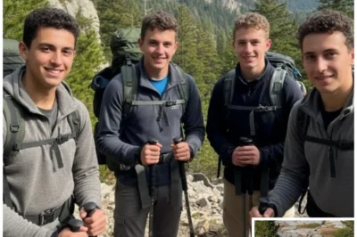 Four Brothers Vanished on a Mountain Hike — 5 Years Later a Drone Found This