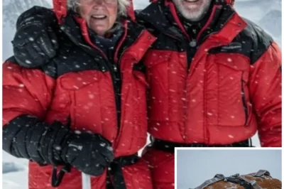 Elderly Couple Vanished In Mt Everest, 3 years later Their bag was found slightly buried in…..
