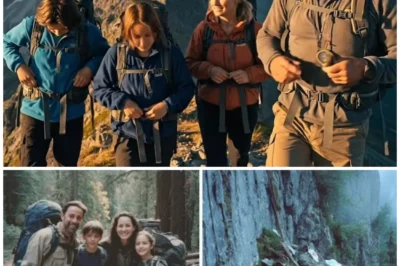 Family of 4 Vanished Hiking in Poland in 1998 — 23 Years Later, Climbers Find Something Terrifying