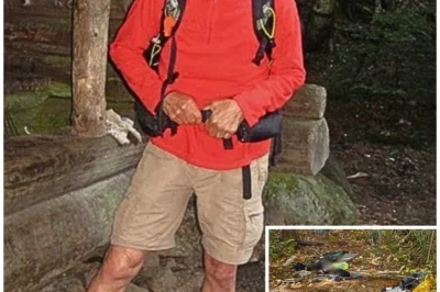 She Vanished From The Appalachian Trail… 2 Years Later, a Navy Contractor Made a Chilling Discovery