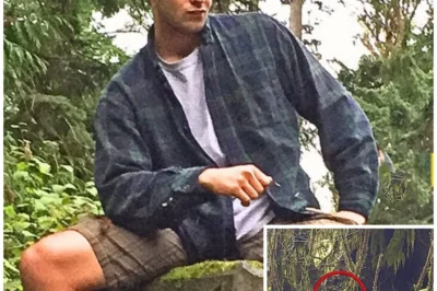 He Vanished from Olympic National Park… 1 Year Later, Biologists Made a Chilling Discovery