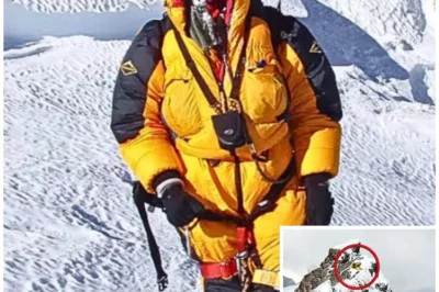 He Vanished in Mount Everest’s Death Zone, What Was Discovered in Green Boots Cave Remains…