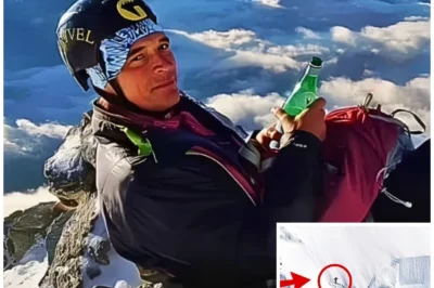 Famous Actor Vanished On Mount Baldy, 5 Months Later a Surprising Discovery Was Made