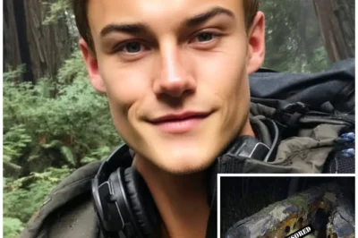 Hiker Vanished in Redwoods — Found 10 Years Later PRESERVED In Giant Tree Resin…