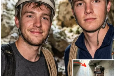 Solo Camper Vanished Great Smoky Mountains—7 Years Later, He Returned With Details Triggered Review