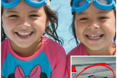 Twins Vanished on Cruise Ship, 10 Months Later a Suitcase Washes Up on Shore…