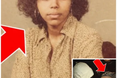 A Retired Detective at a Gala Spotted a Wax Figure That Matched His 21-Year Unsolved Case