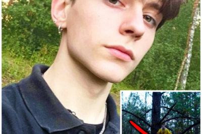 The Hiker Was Searched After Smoky Mountains Three Years Later, He Was In A Tree In A Clown Suit